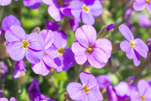 Mitgliederversammlung