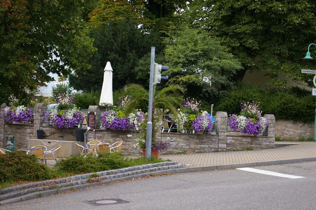 Besuch des Alexandrinenplatzes  mit dem OGV Hochberg
