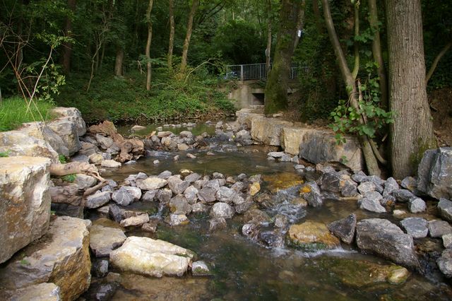 Fischtreppe im Zipfelbach