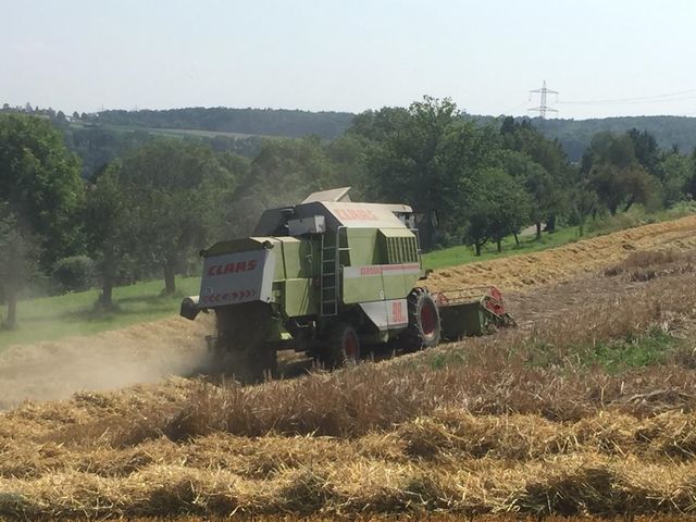 Getreideernte hat in Remseck begonnen