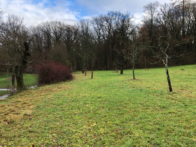 WATOMI-Standort auch in Hochberg