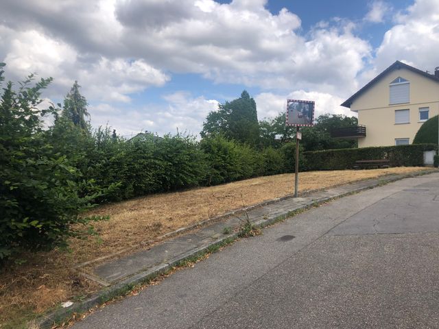 Hitzeaktionsplan Remseck