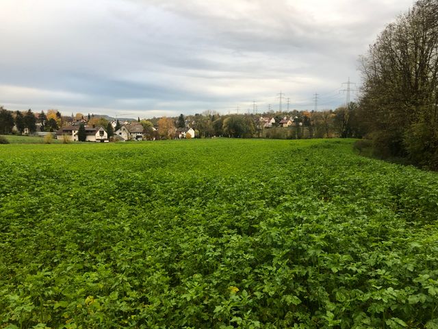Neues Baugebiet Bubelesäcker in Hochdorf?