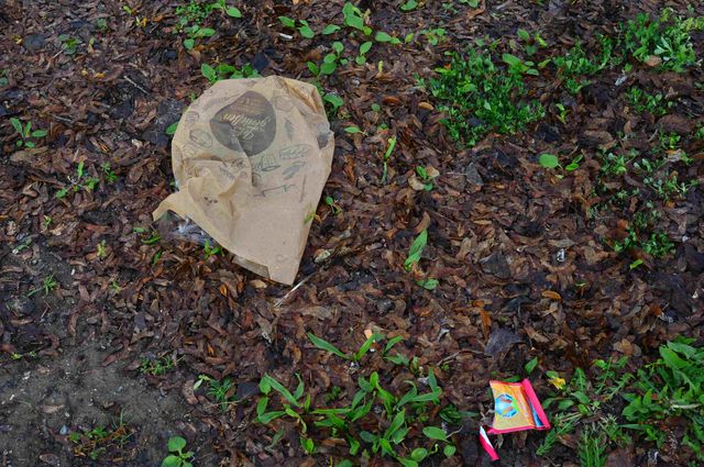 Bürgerinnen und Bürger entsorgen Müll