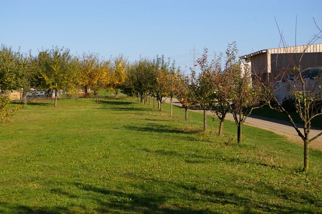 Gratulation zum 90-jährigen Jubiläum des OGV Neckarrems