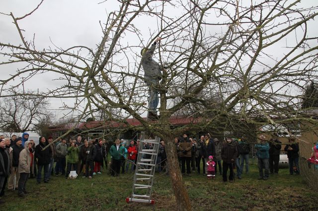 Politik und Obstbaumschnitt mit Boris Palmer