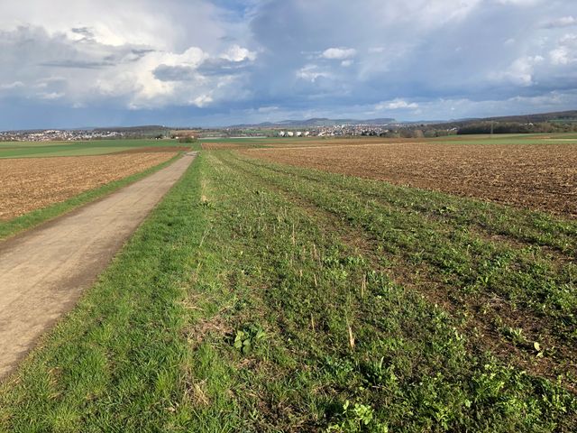 Wildschutzzone für Rebhühner