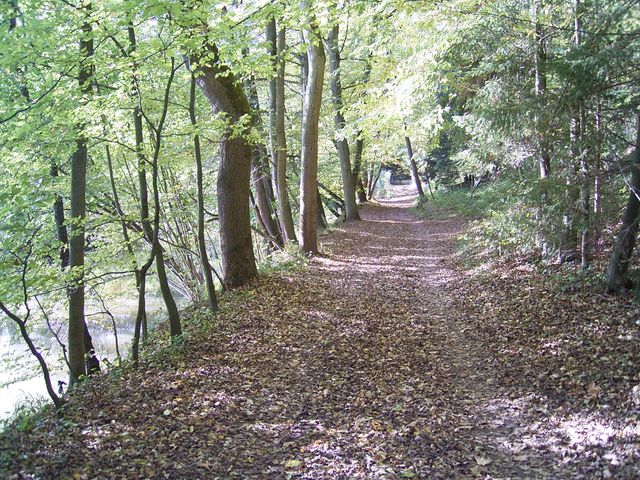 Remstal-Gartenschau: Es holpert etwas!