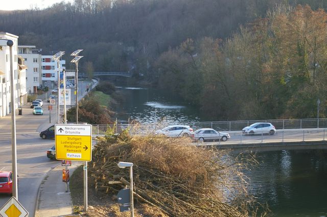 Radikale Rodeaktion am Remsufer