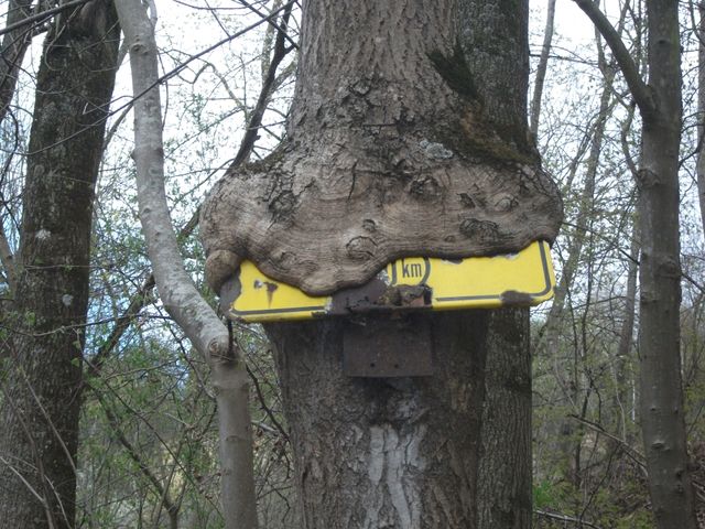 Naturschutzgebiet Unteres Remstal