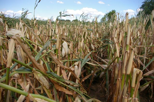 Aktionsplan für Klimaschutz