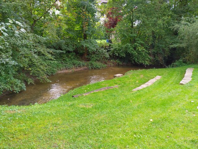 Wie steht es um den Zipfelbach?
