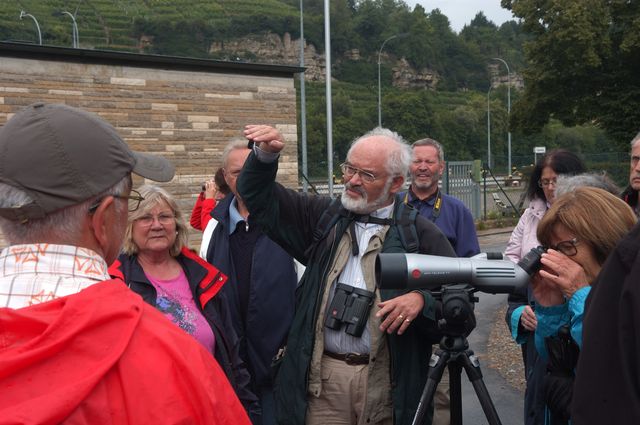 Grüne Exkursionen: Über 50 Interessierte besuchen die Zugwiesen mit Dr. Ertel