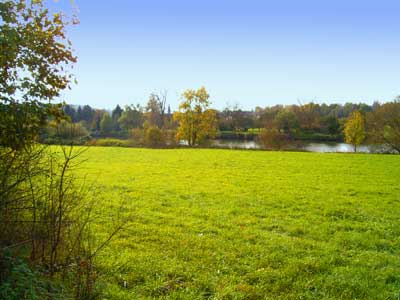 Fischlaichgewässer in Hochberg