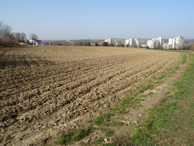 Großes Baugebiet in Neckarrems in Planung