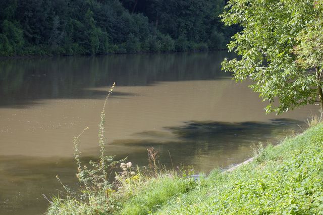 Dunkles Wasser beim Klärwerk Mühlhausen