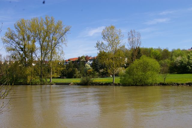 Bewerbungsfrist für Grünprojekt läuft!