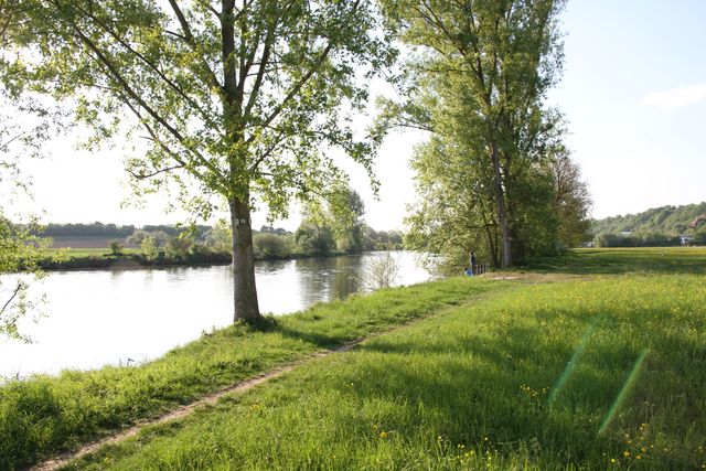 Aufwertung der Uferlandschaft am Neckar