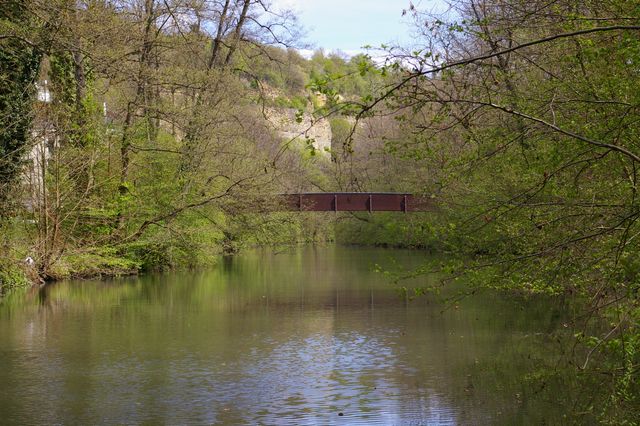 Spaziergang mit Ingrid Hönlinger am Remsufer