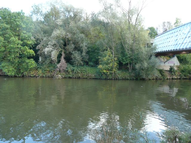 Sandstrand wird umweltverträglicher