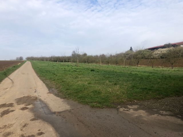 Gespräch mit Remsecker Landwirten über neue Stadtbahnlinie nach Pattonville