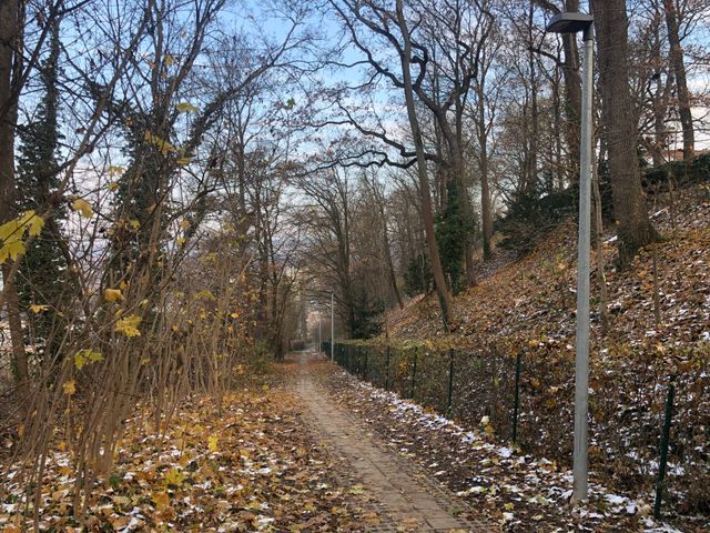 Schlossweg in Neckarrems jetzt beleuchtet!