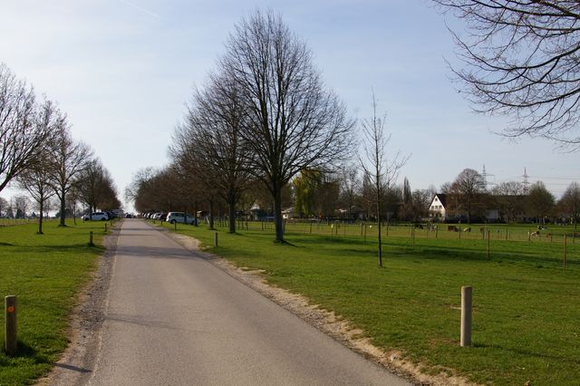 Keine Westrandbrücke?