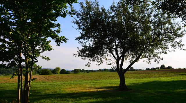 Müssen auf Remsecker Gemarkung die Verkehrsprobleme des Rems-Murr-Kreises und die Feinstaubprobleme in Stuttgart gelöst werden?