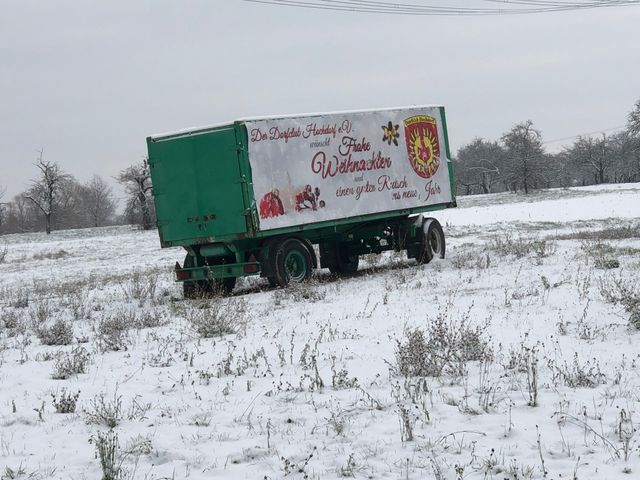 Weihnachtsbaum auf dem Feld