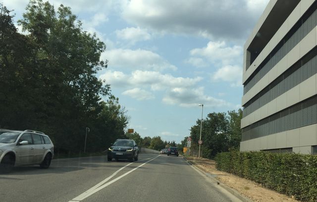 Demokratie leben heißt sich streiten?