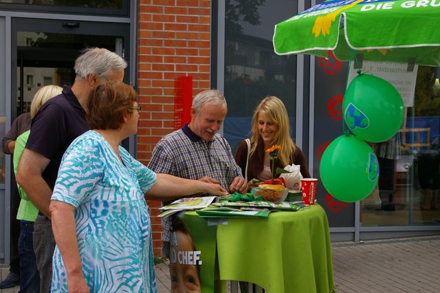 Grüne Ideen für eine bessere Politik