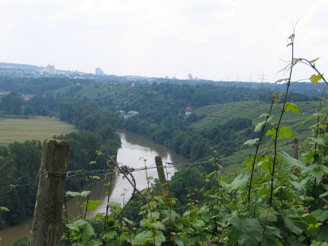 Neue Fraktionsvorsitzende der Kreistagsfraktion Brigitte Muras bewertet Kreishaushalt kritisch