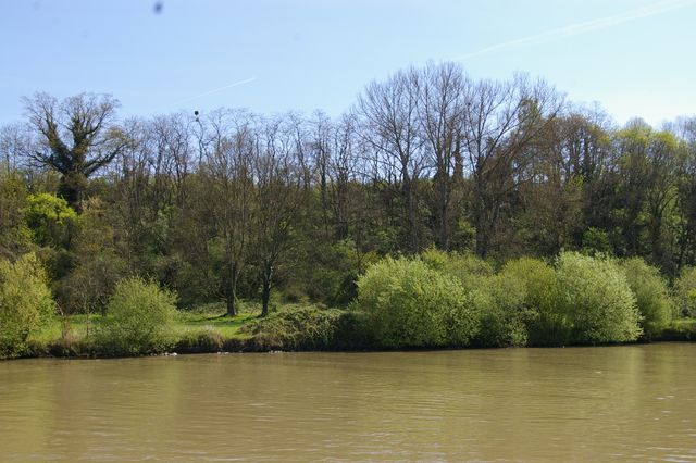 Einführung der gesplitteten Abwassergebühr