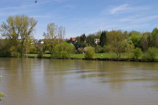 Grünprojekt Remseck