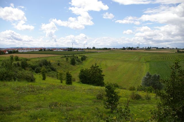 Grobkonzept für die weitere Landschaftsentwicklung im Bereich Regental/Stämmegraben im Ortsteil Aldingen
