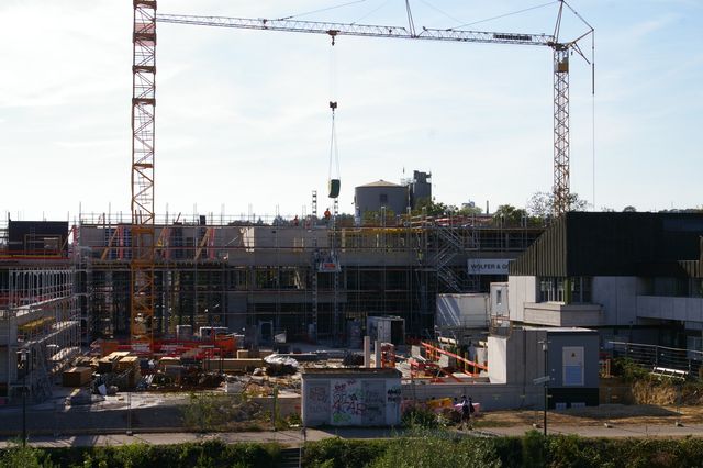 Stellungnahme zum Haushaltsplan 2020